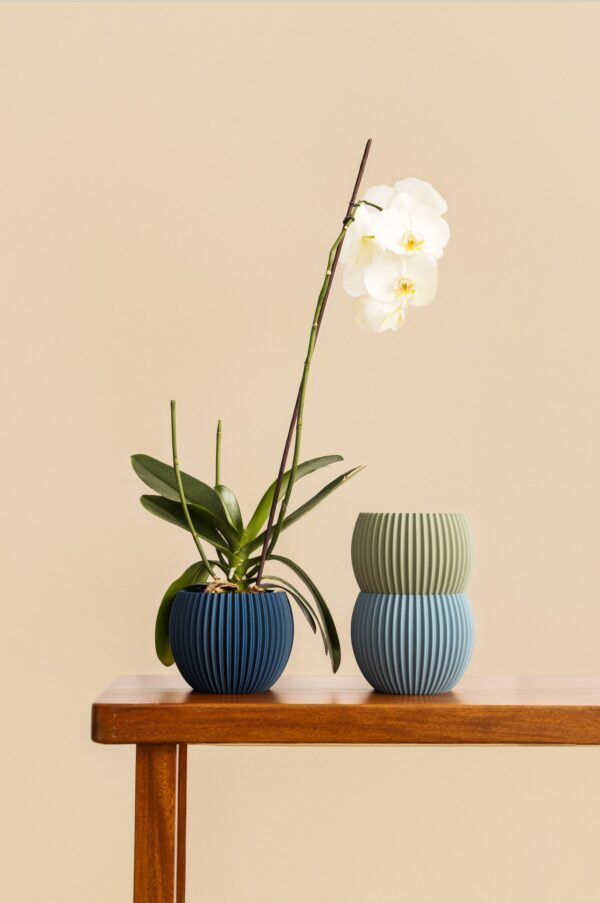 Matera Orquídea